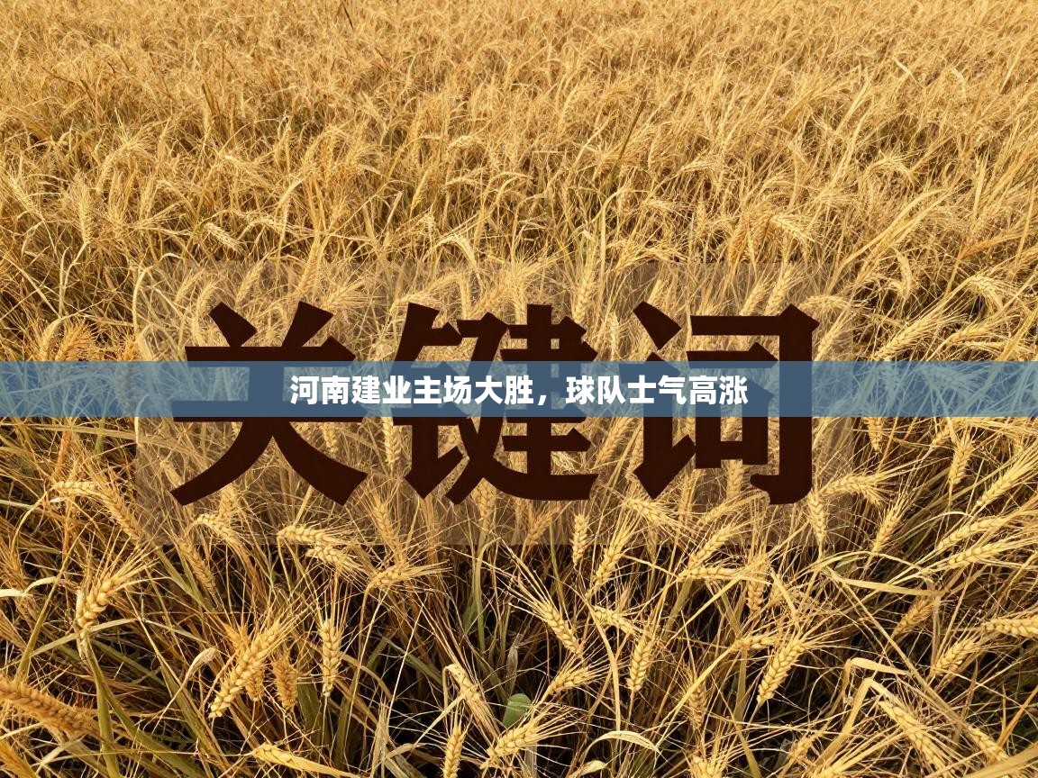 河南建业主场大胜,球队士气高涨 第1张