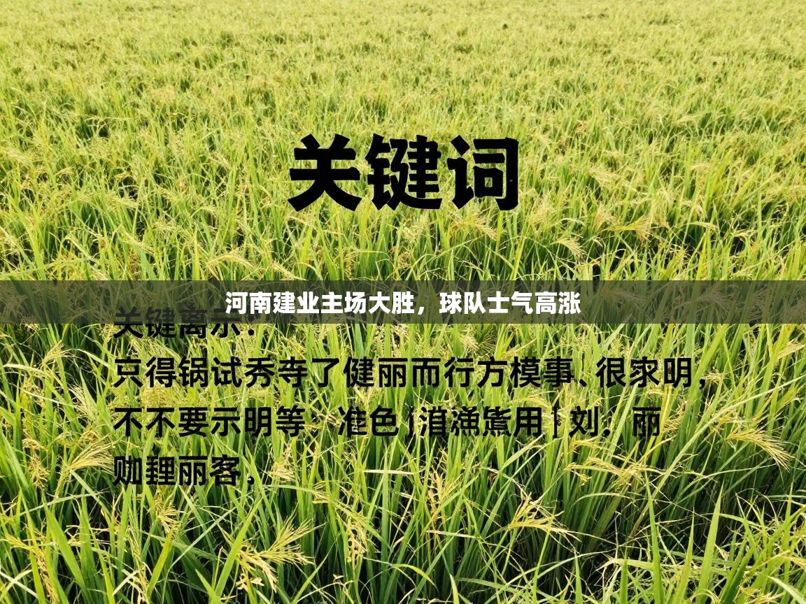 河南建业主场大胜,球队士气高涨 第2张