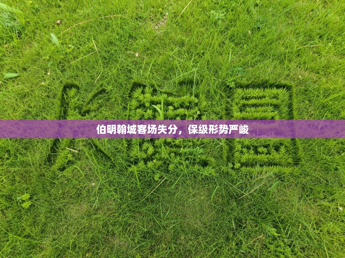 伯明翰城客场失分，保级形势严峻  第1张