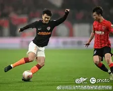 爱游戏亚洲官网-包含卡帕坎甘主场告捷，加速升级步伐的词条