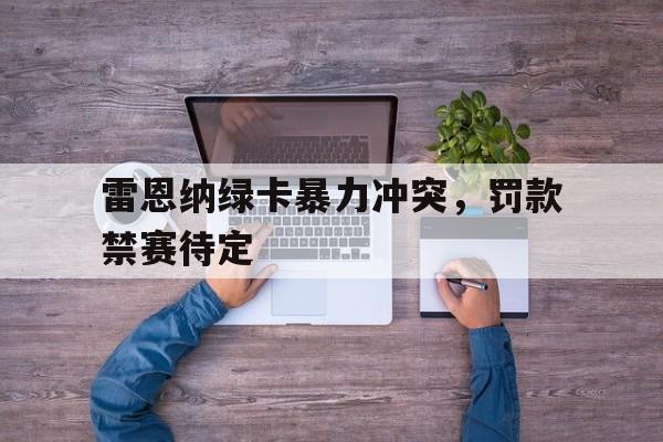 爱游戏网页版入口-雷恩纳绿卡暴力冲突，罚款禁赛待定